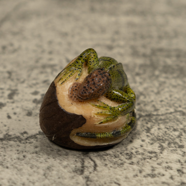 Vintage Iguana Lizard Reptile Tagua Carving