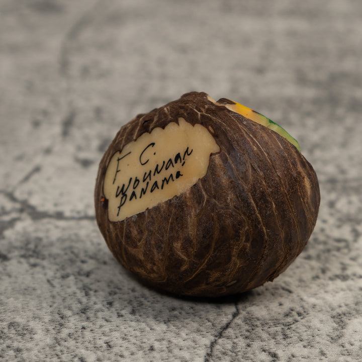 Black Blue And White Poison Dart Frog Tagua Carving