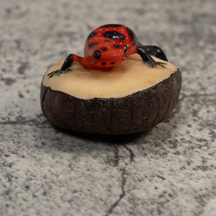 Vintage Red And Black Poison Dart Frog Tagua Carving