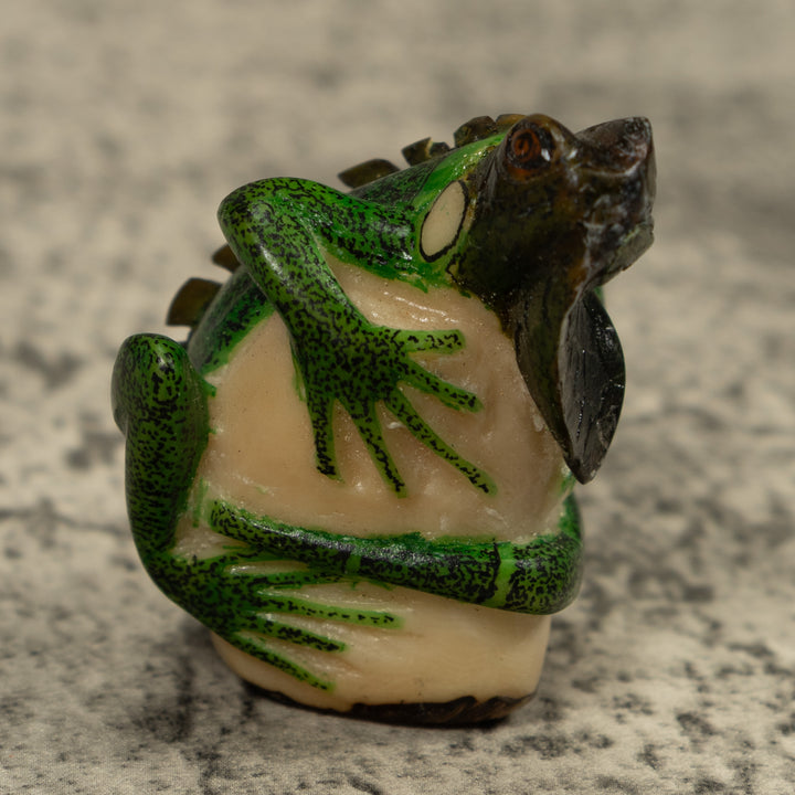 Iguana Lizard Reptile Tagua Carving