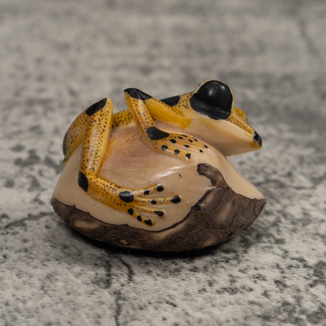 Poison Dart Frog Tagua Carving