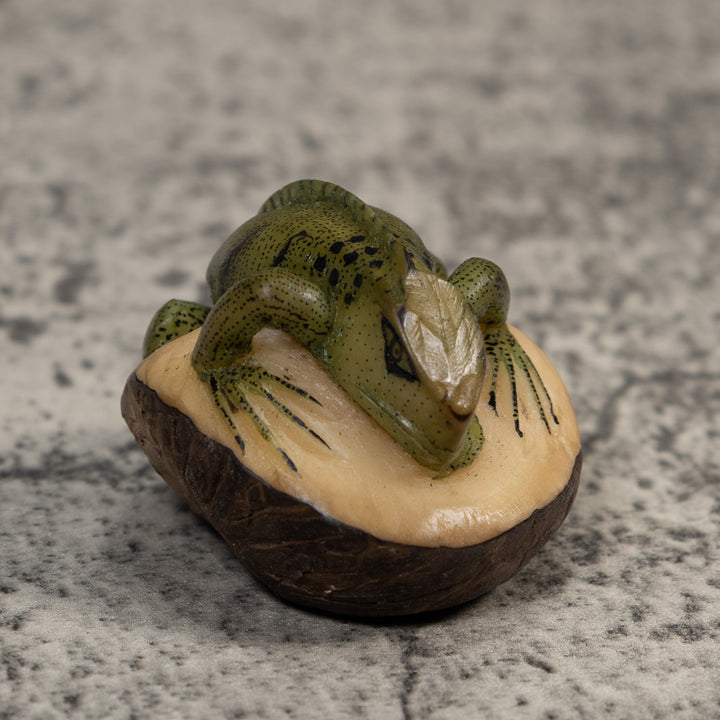 Black And Green Iguana Lizard Tagua Carving