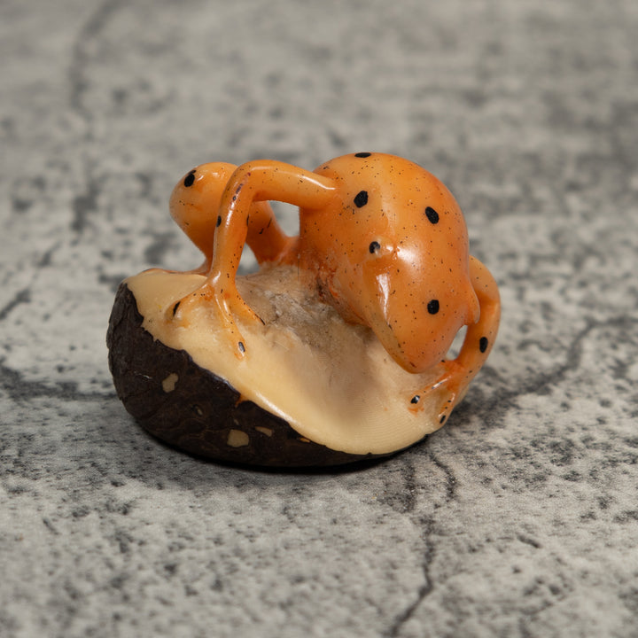 Vintage Gold And Black Jungle Frog Tagua Carving