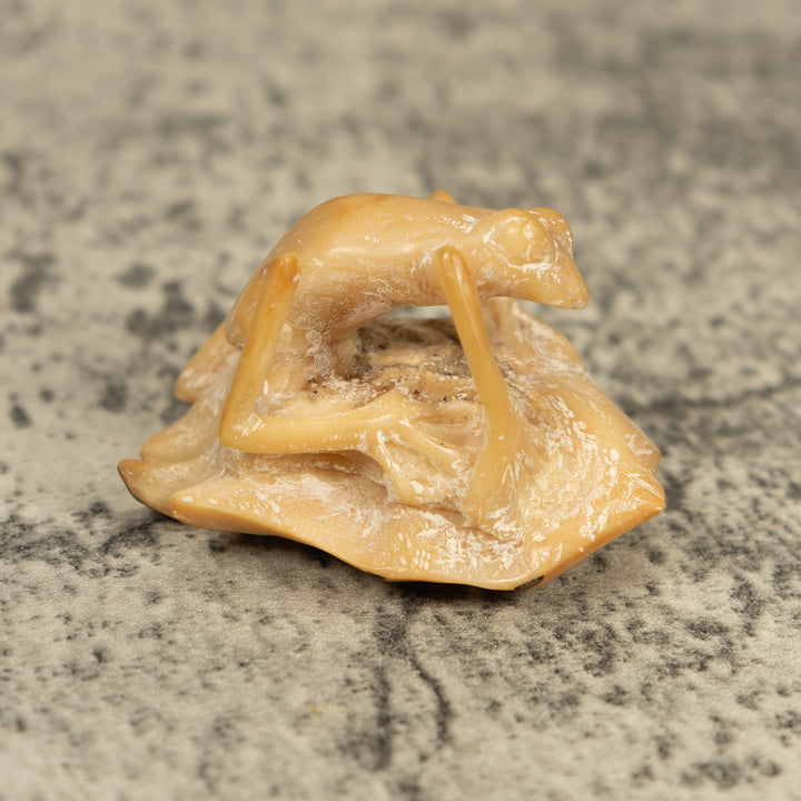 Natural White Frog On Leaf Tagua Carving