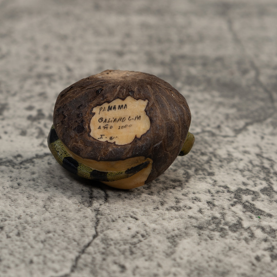 Black And Green Iguana Lizard Tagua Carving