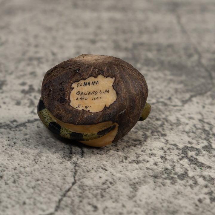 Black And Green Iguana Lizard Tagua Carving