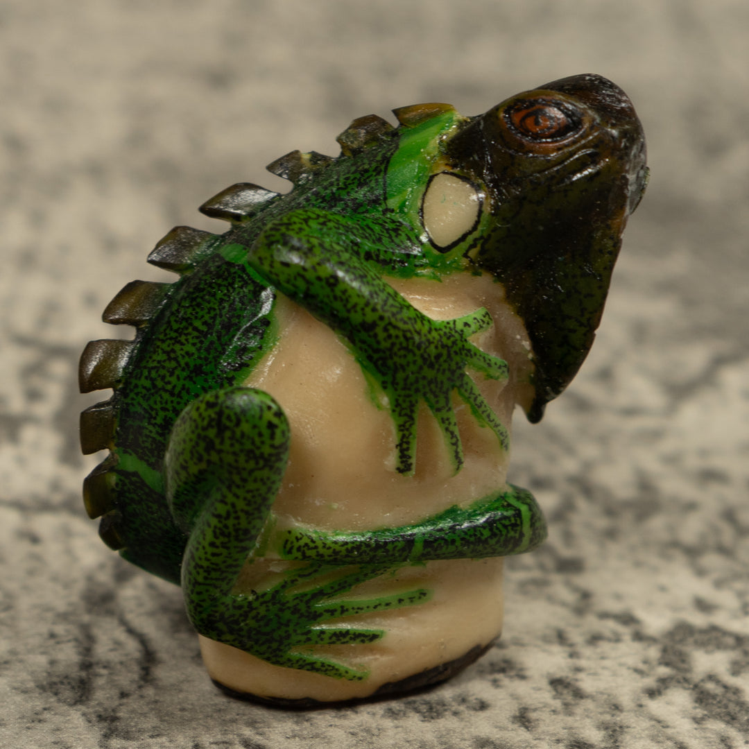 Iguana Lizard Reptile Tagua Carving