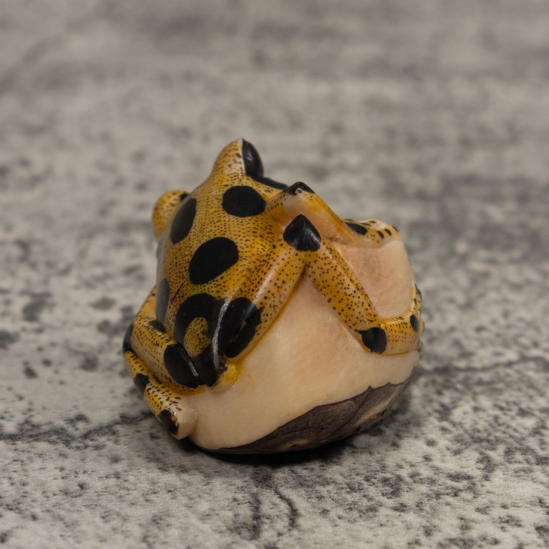 Poison Dart Frog Tagua Carving