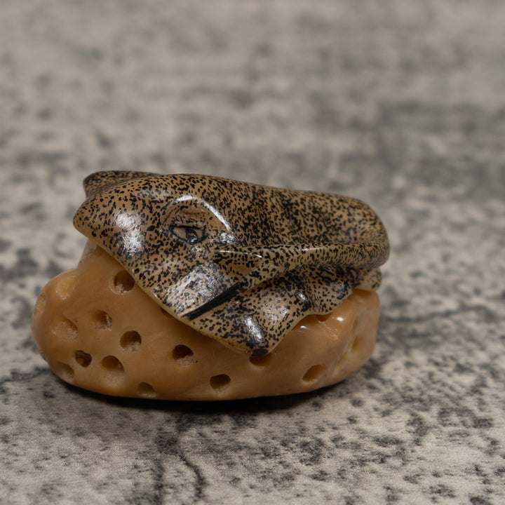 Ocean Stingray Coral Reef Tagua Carving