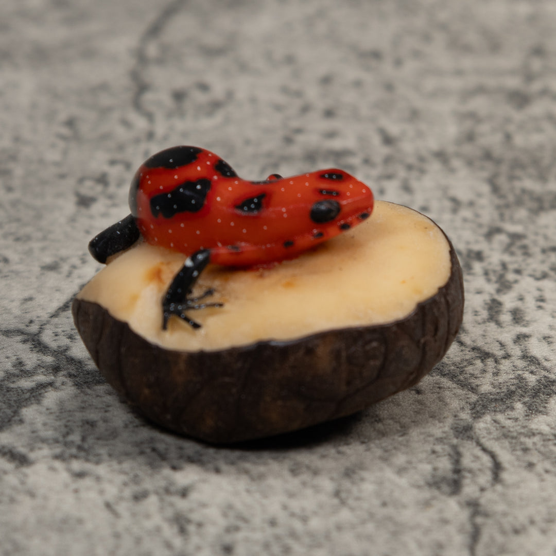 Vintage Red And Black Poison Dart Frog Tagua Carving