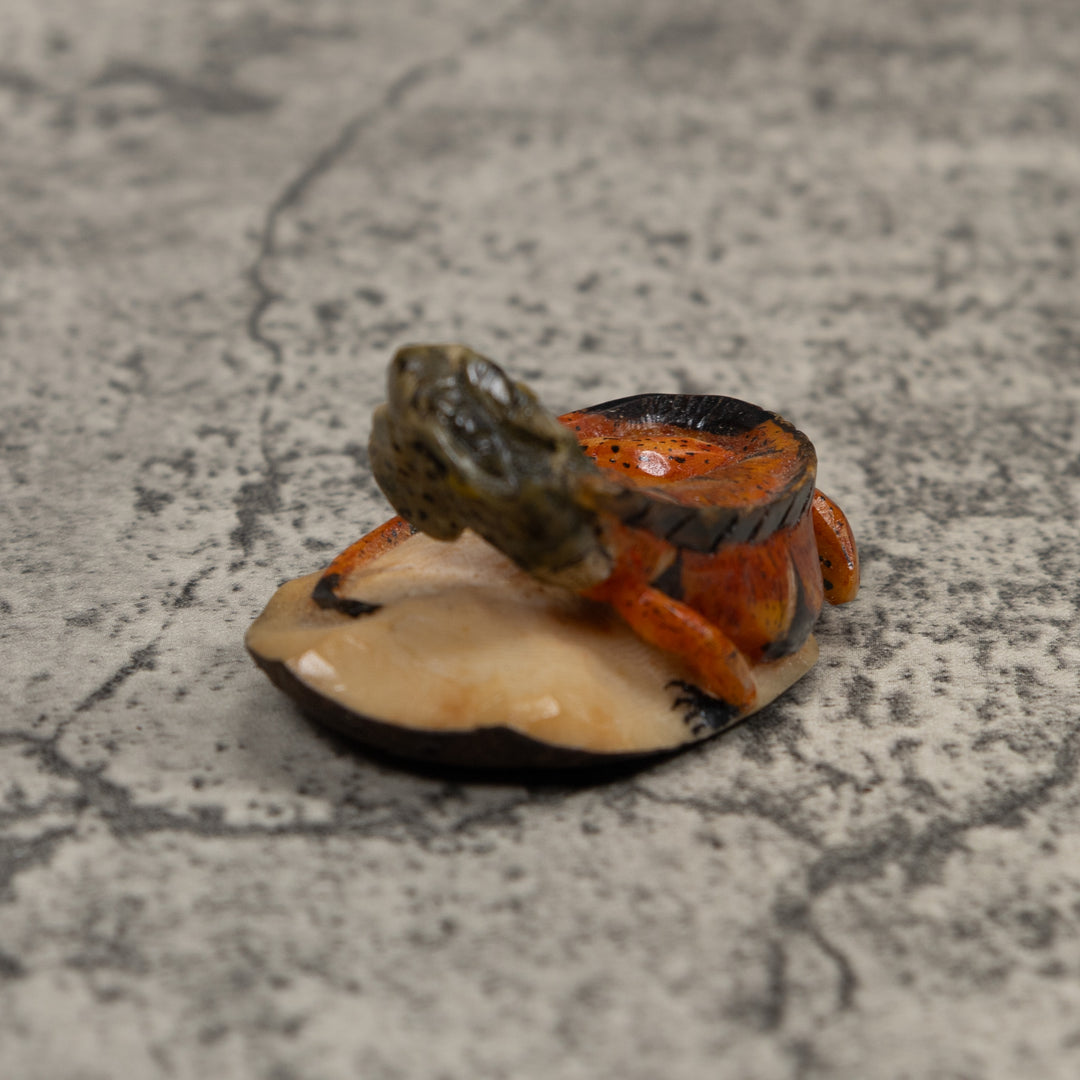 Iguana Lizard Reptile Tagua Carving