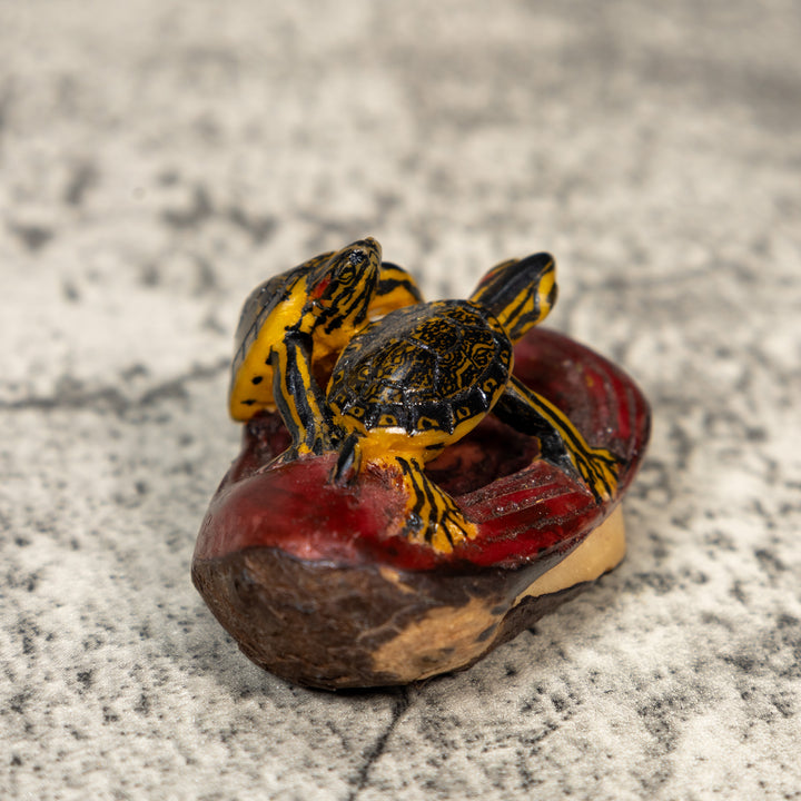 Double Turtle Tortoise Tagua Carving