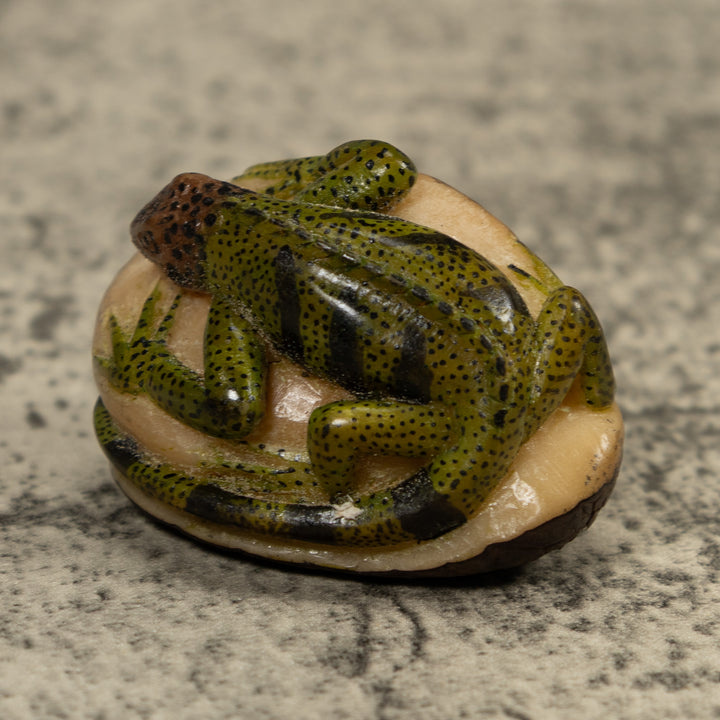 Vintage Iguana Lizard Reptile Tagua Carving