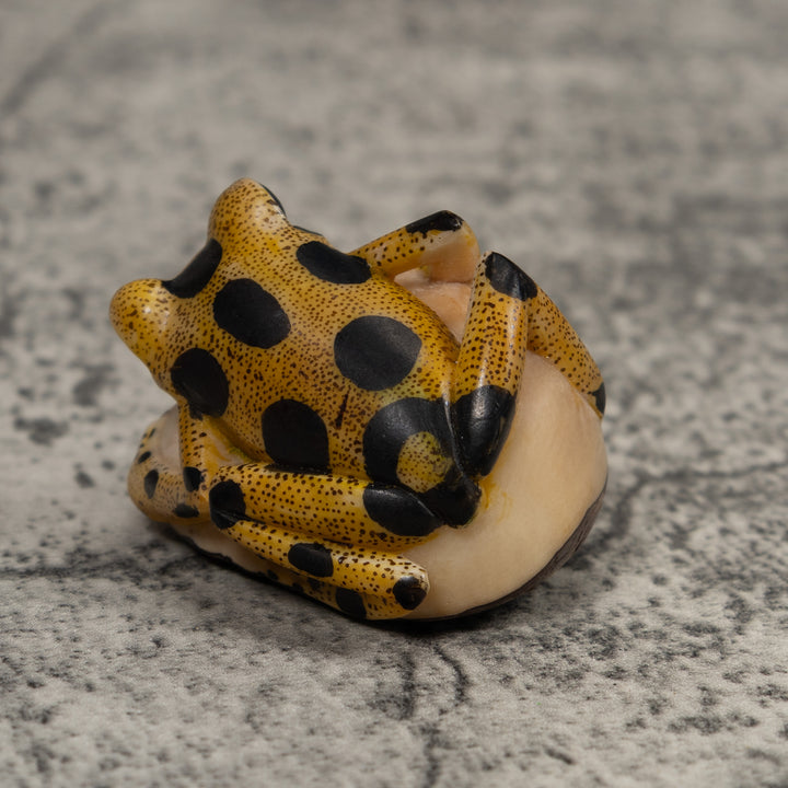 Poison Dart Frog Tagua Carving
