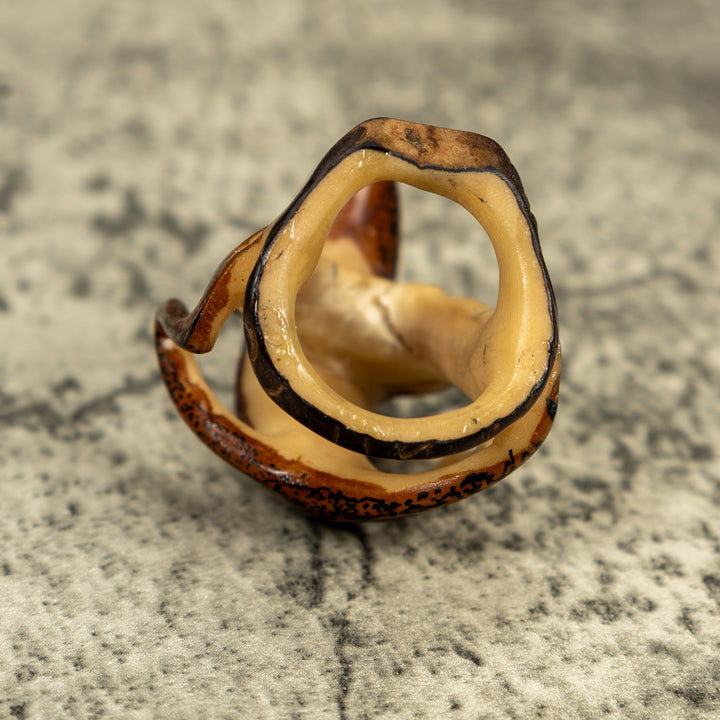 Brown And Black Gecko Lizard On Pedestal Tagua Carving