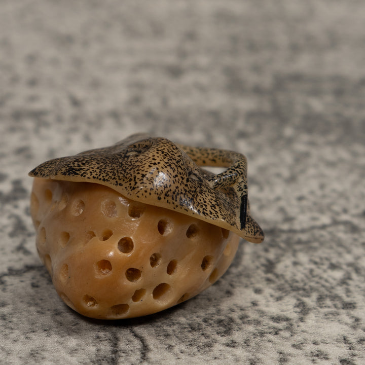 Ocean Stingray Coral Reef Tagua Carving