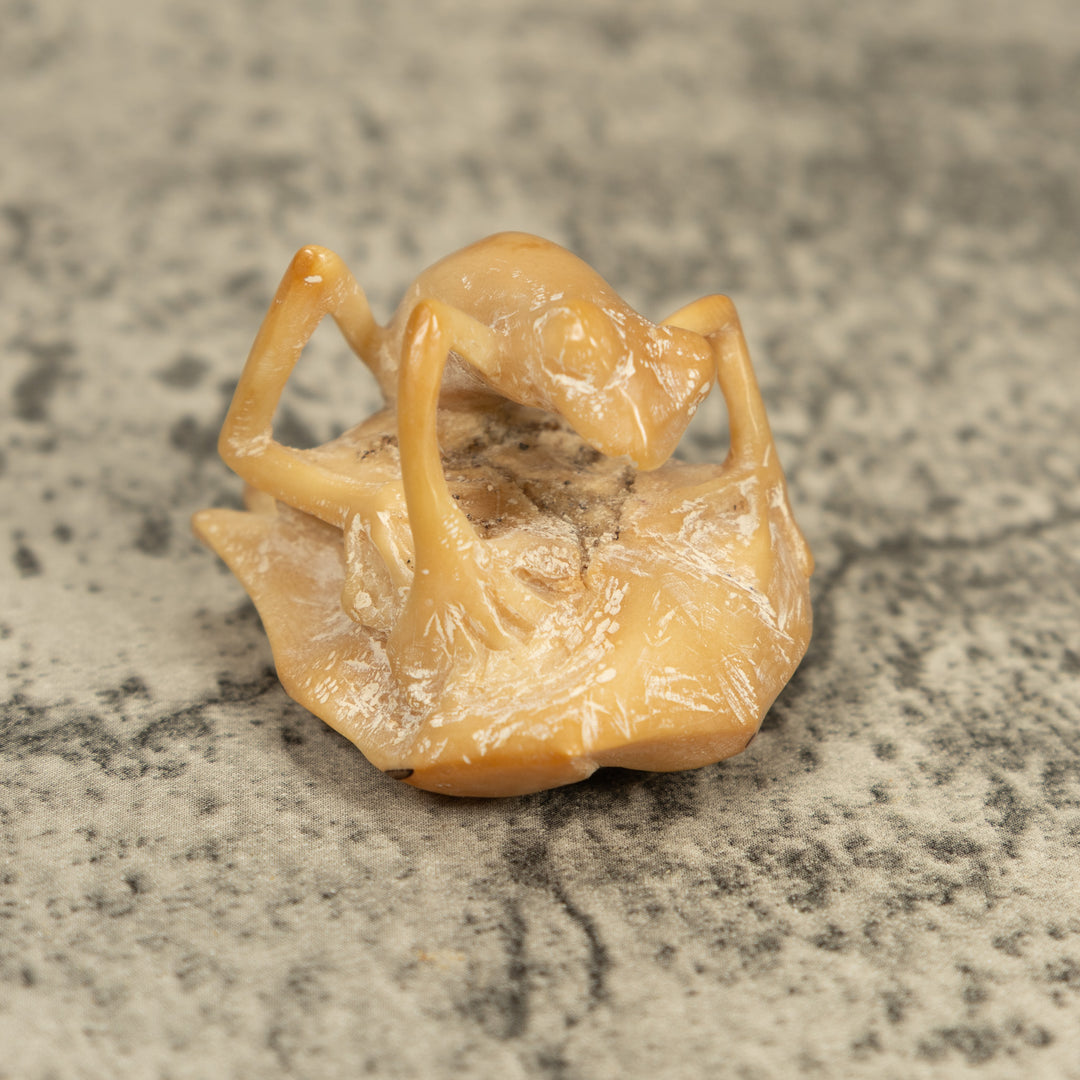 Natural White Frog On Leaf Tagua Carving