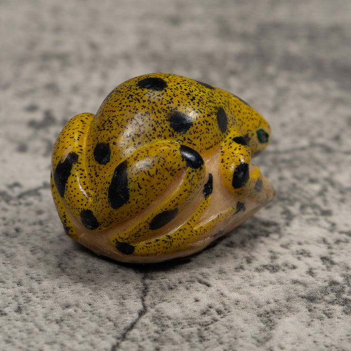 Vintage Black And Gold Frog Tagua Carving