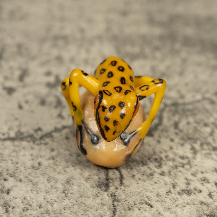 Vintage Golden Frog Tagua Carving