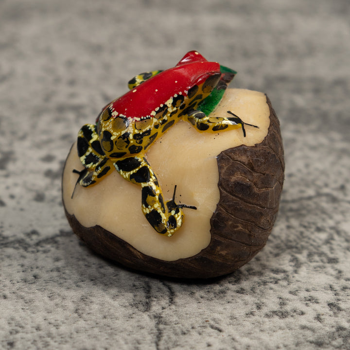 Red Yellow And Black Poison Dart Frog Tagua Carving