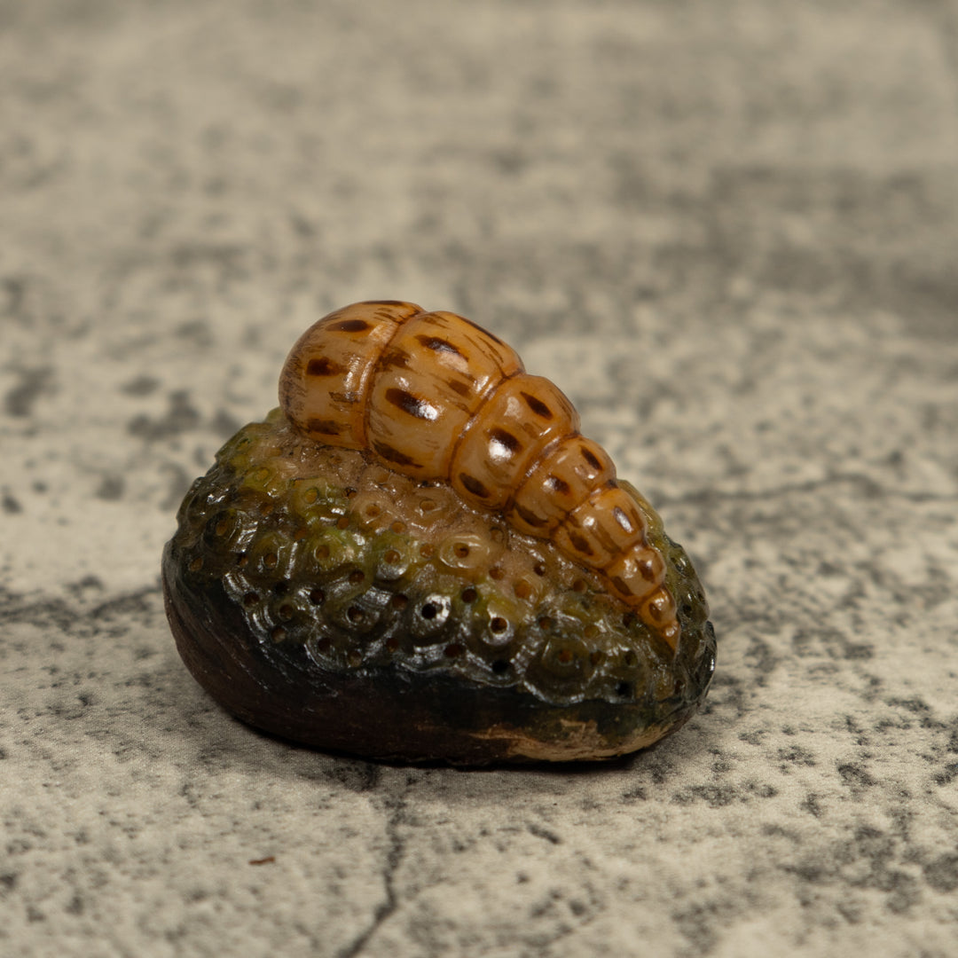 Catapillar Tagua Carving