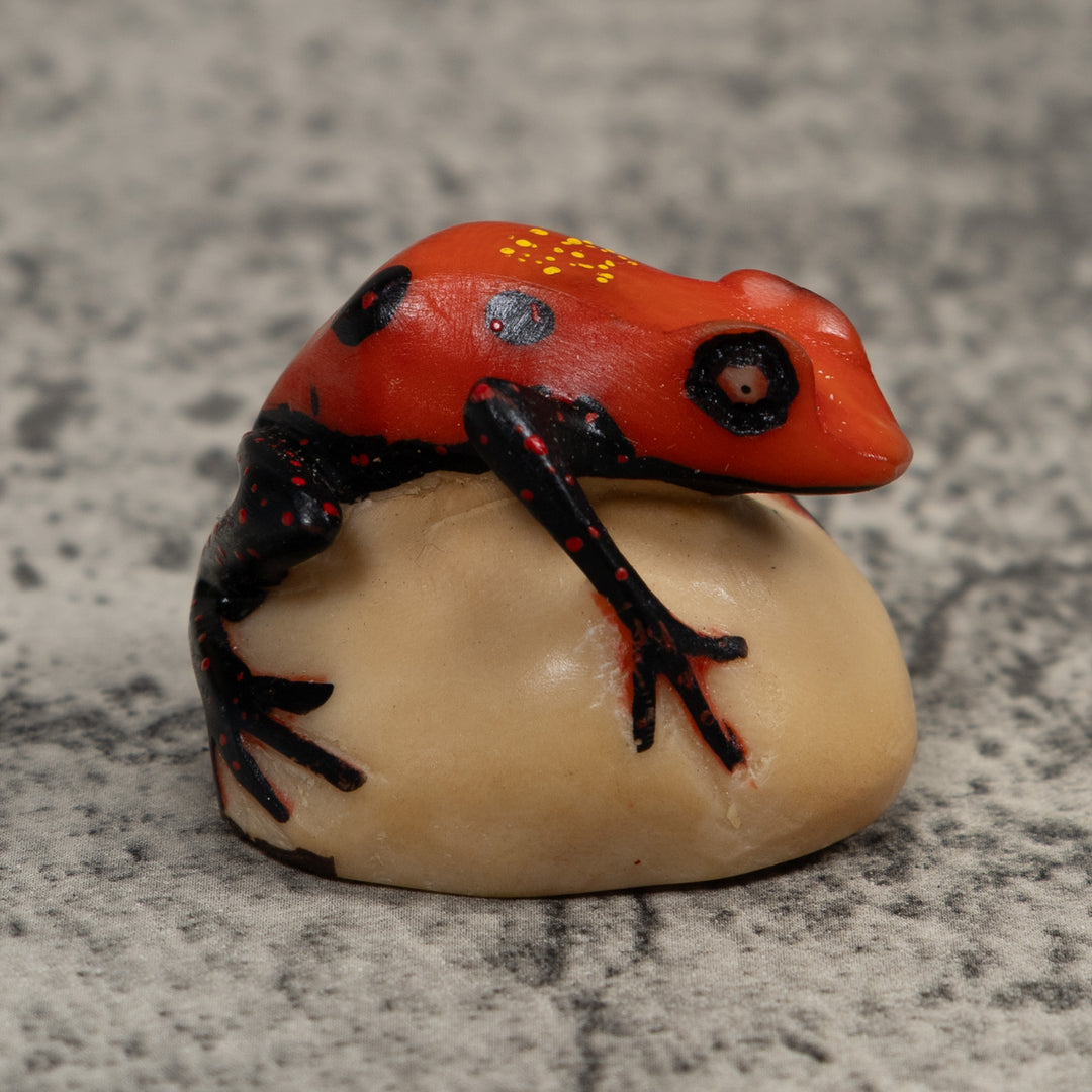 Vintage Poison Dart Frog Tagua Carving