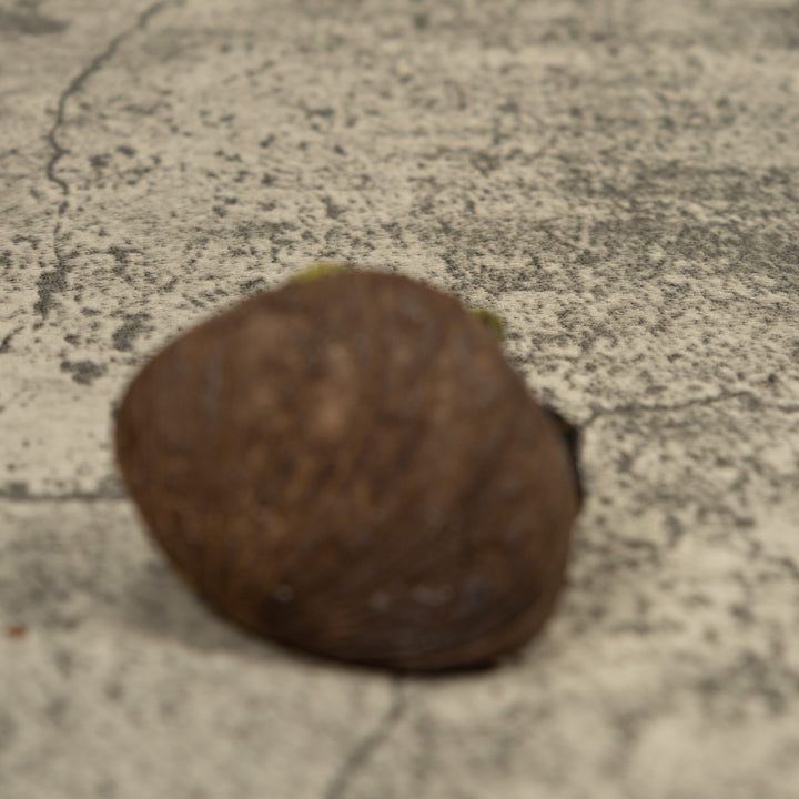 Poison Dart FrogTagua Carving