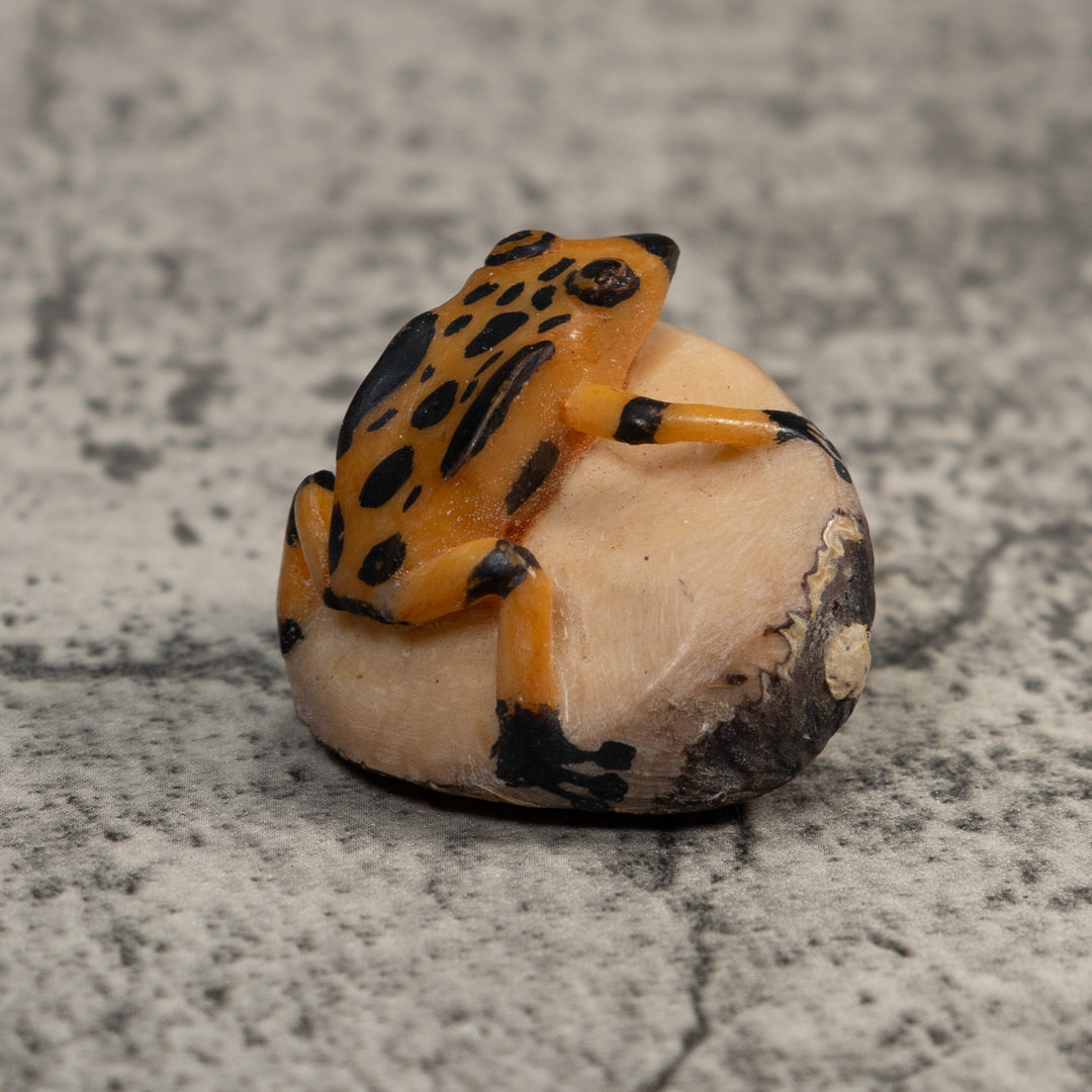 Vintage Gold And Black Poison Dart Frog Tagua Carving