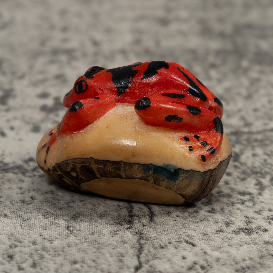 Vintage Black And Red Frog Tagua Carving