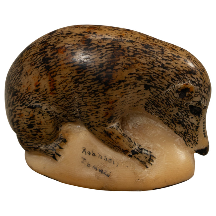 Vintage Coatmundi Tagua Carving