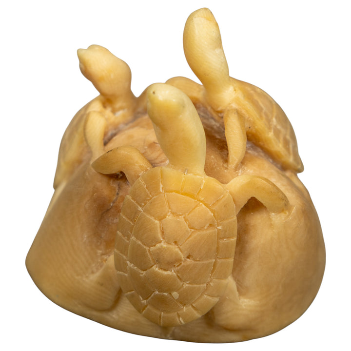 Natural White Triple Sea Turtle Tagua Carving