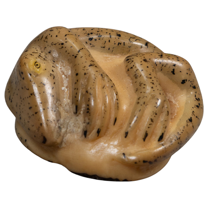Vintage Gecko Lizard Reptile Tagua Carving
