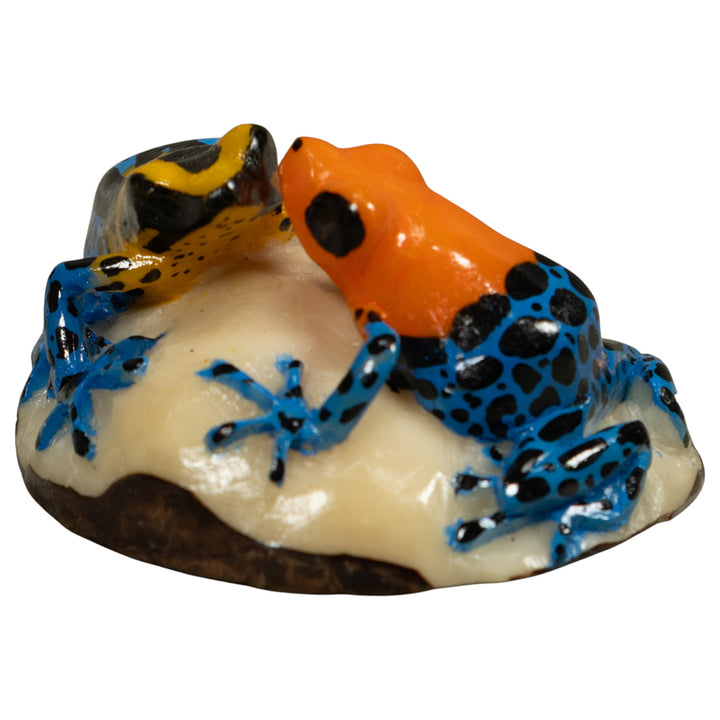 Double Poison Dart Frog Tagua Carving