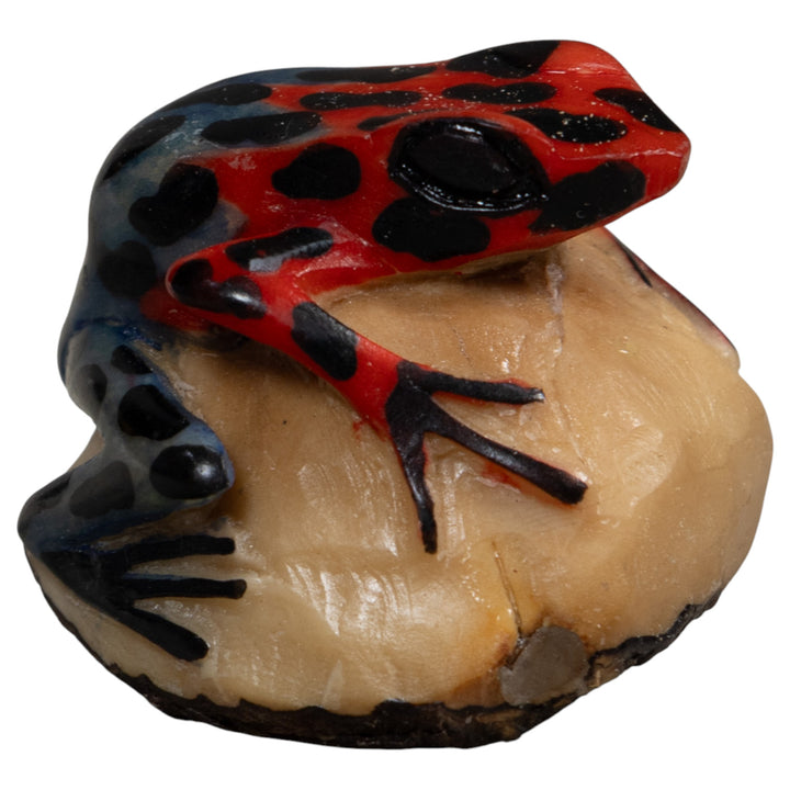Vintage Red And Blue Poison Dart Frog Tagua Carving