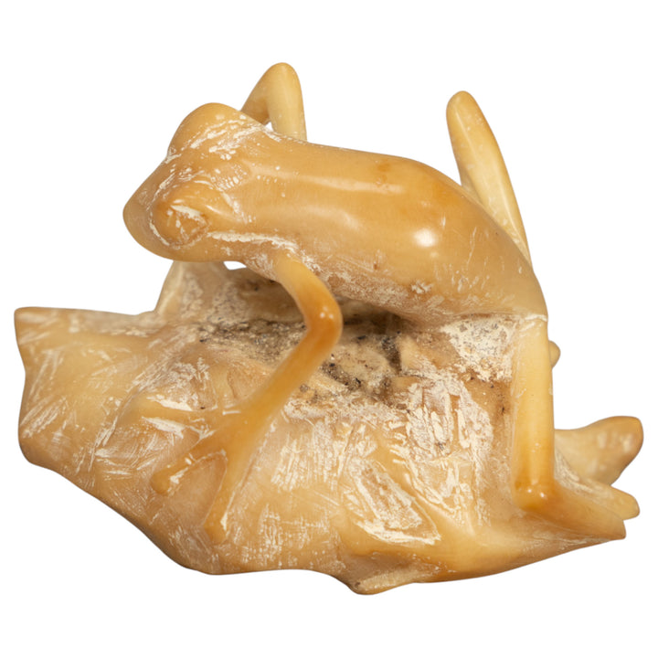 Natural White Frog On Leaf Tagua Carving