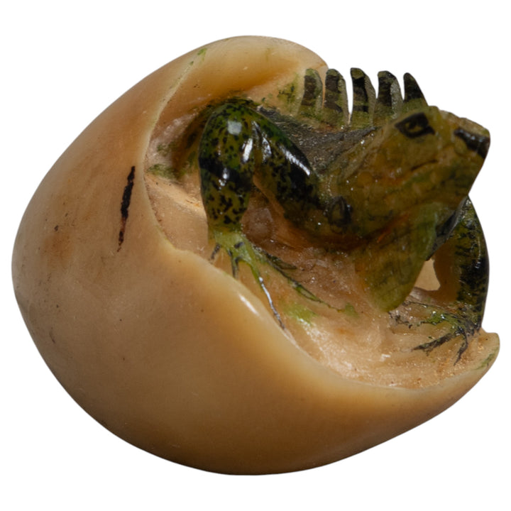Vintage Iguana Emerging Egg Tagua Carving