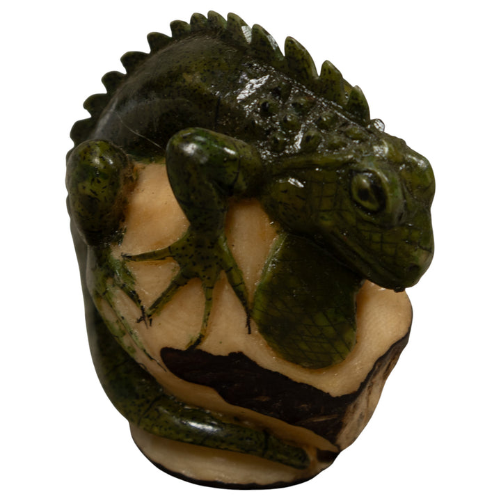 Iguana Lizard Reptile Tagua Carving