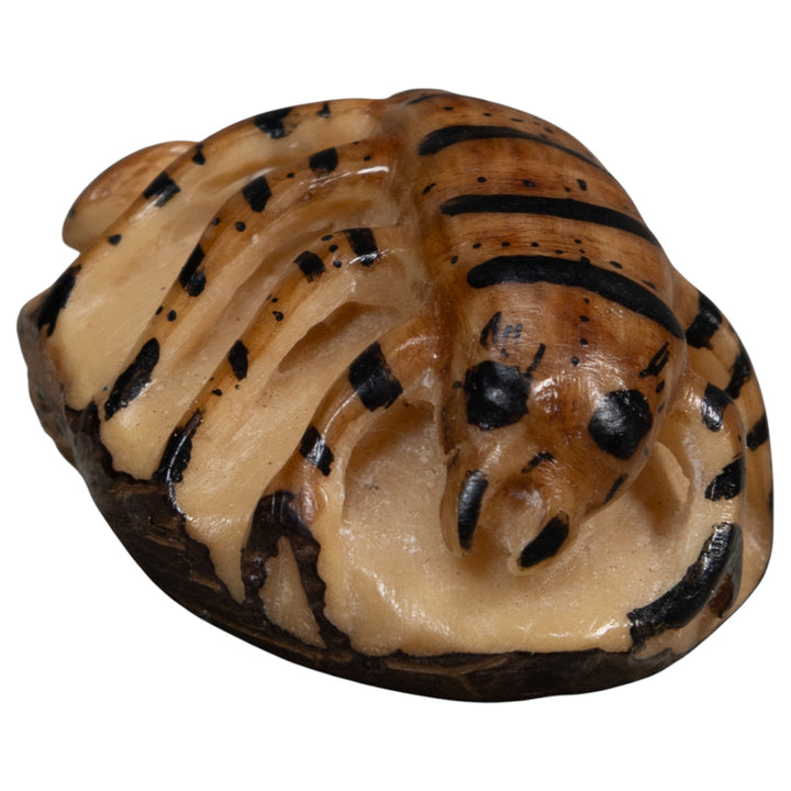 Vintage Brown And Black Insect Tagua Carving