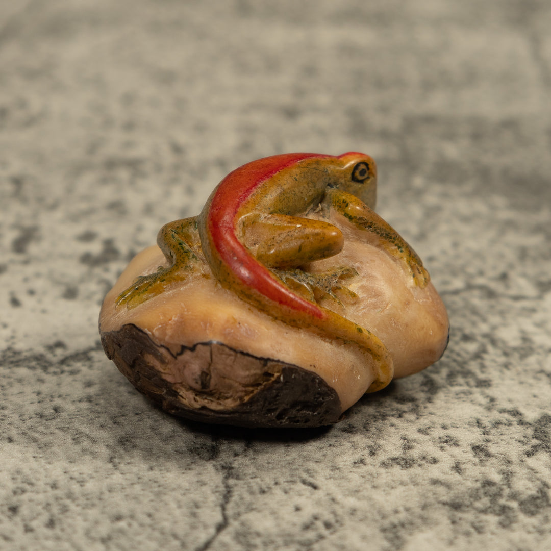 Red Stripped gecko Tagua Carving
