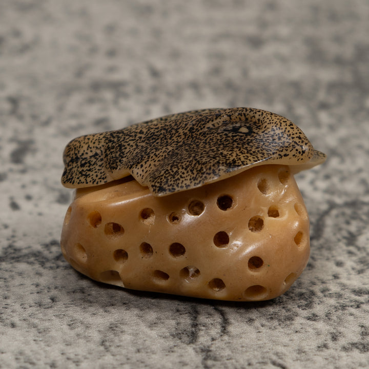 Ocean Stingray Coral Reef Tagua Carving