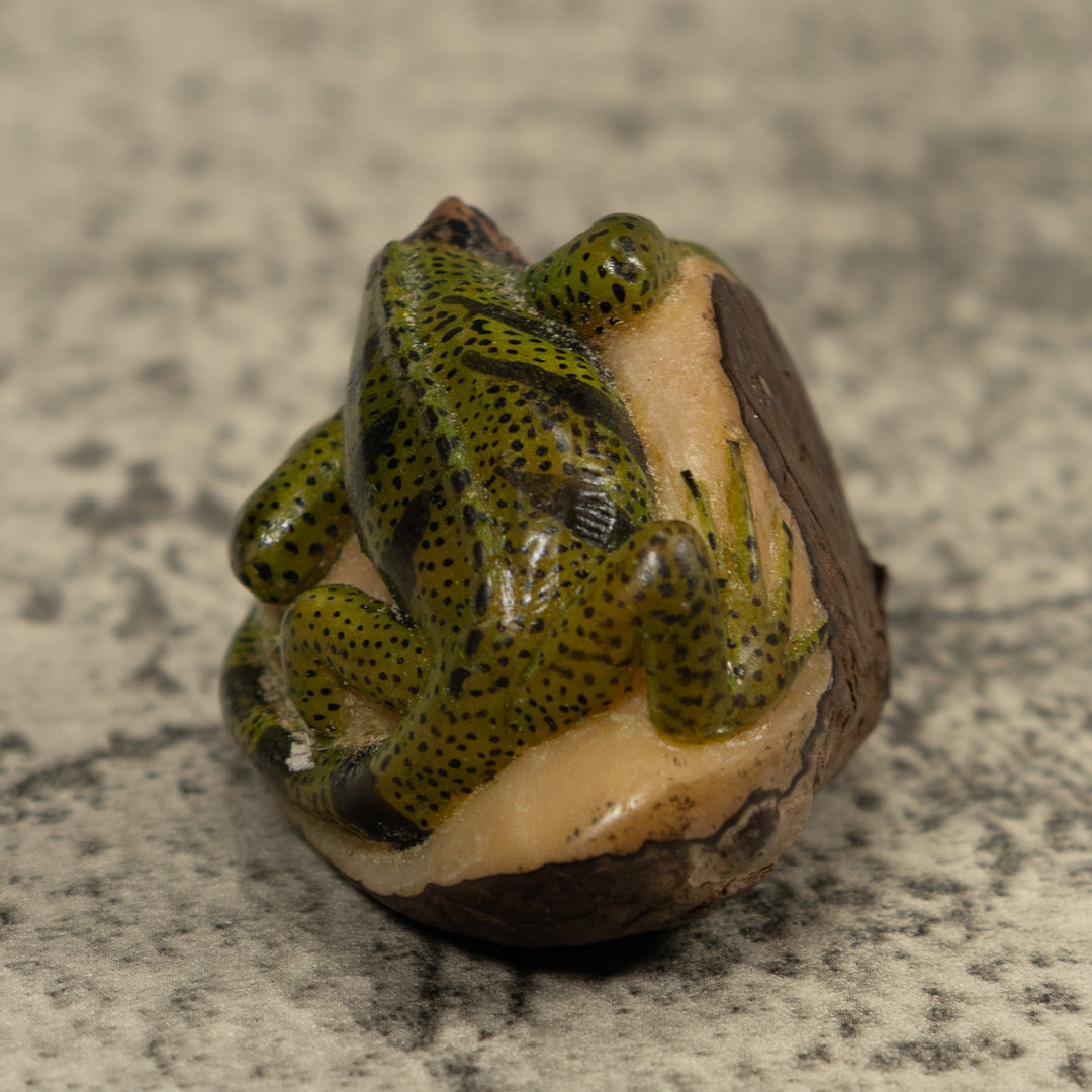 Vintage Iguana Lizard Reptile Tagua Carving