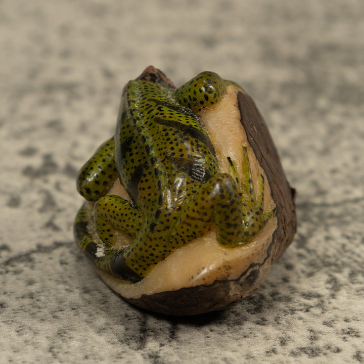 Vintage Iguana Lizard Reptile Tagua Carving