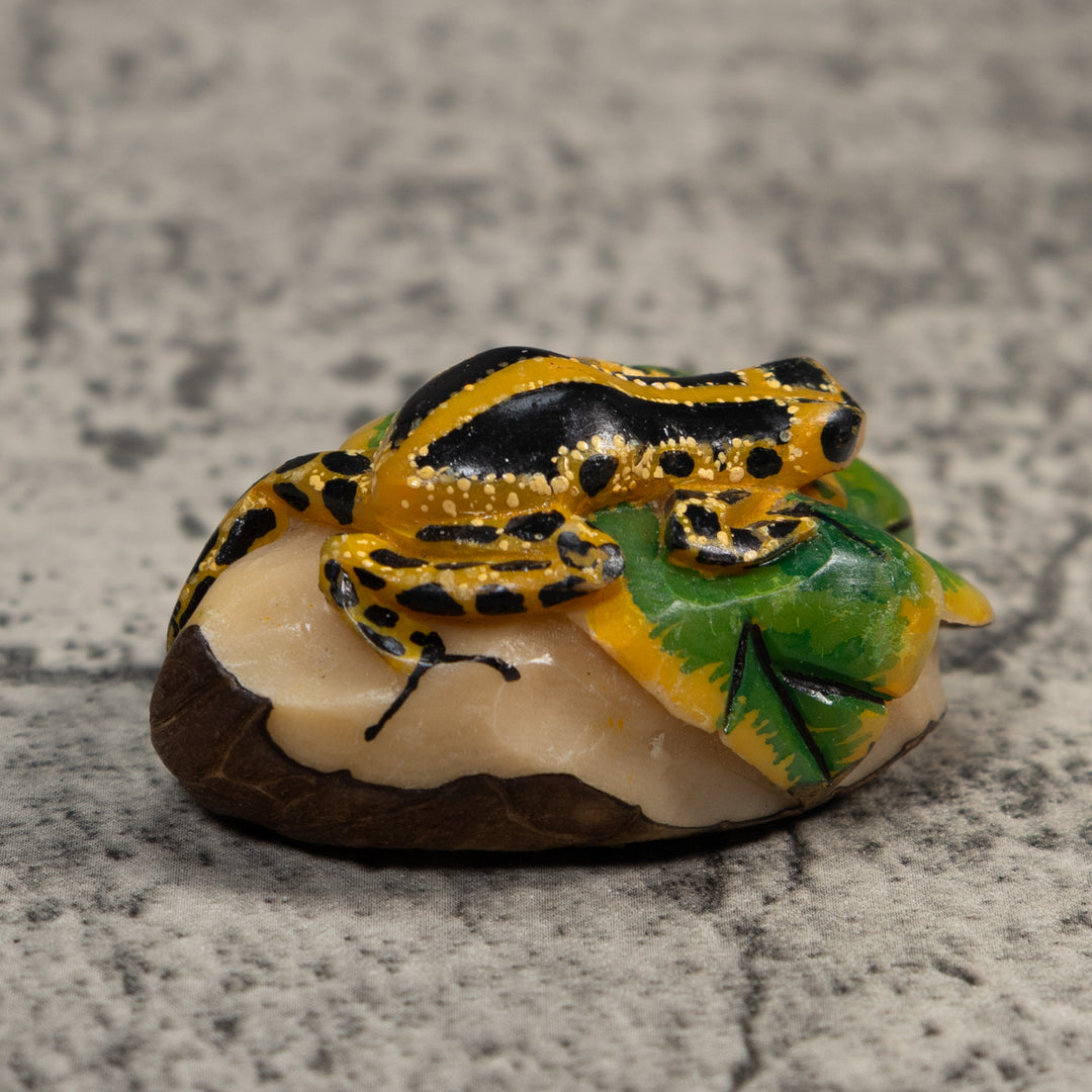 Black Green And Yellow Poison Dart Frog Tagua Carving