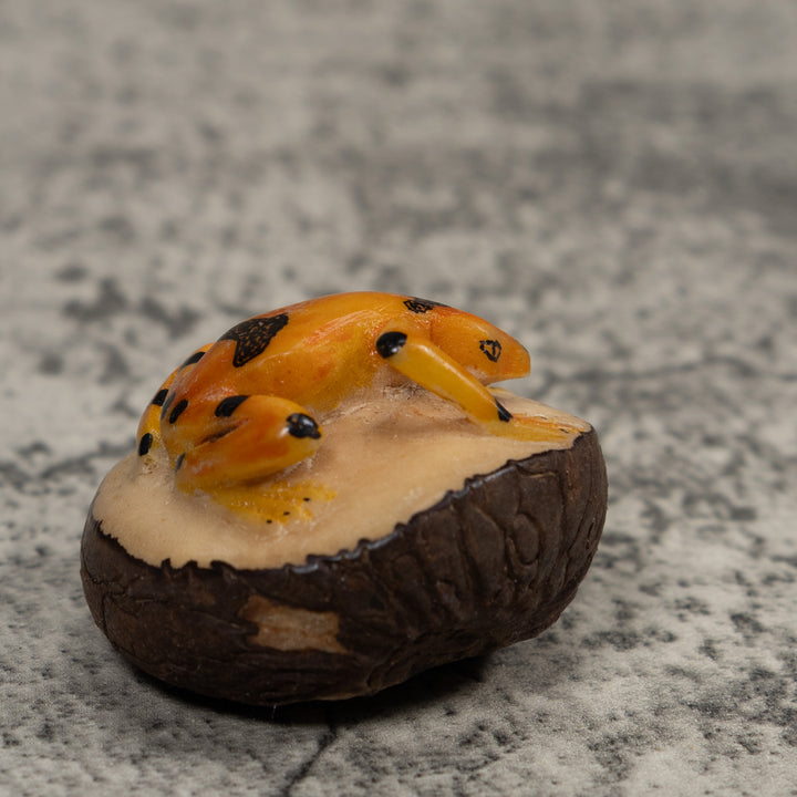 Vintage Gold And Black Frog Tagua Carving