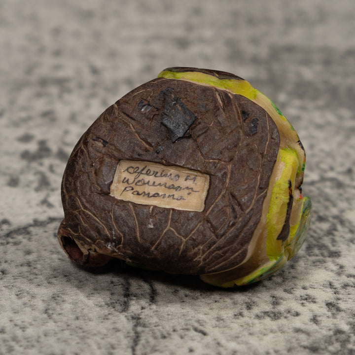 Poison Dart Frog Tagua Carving