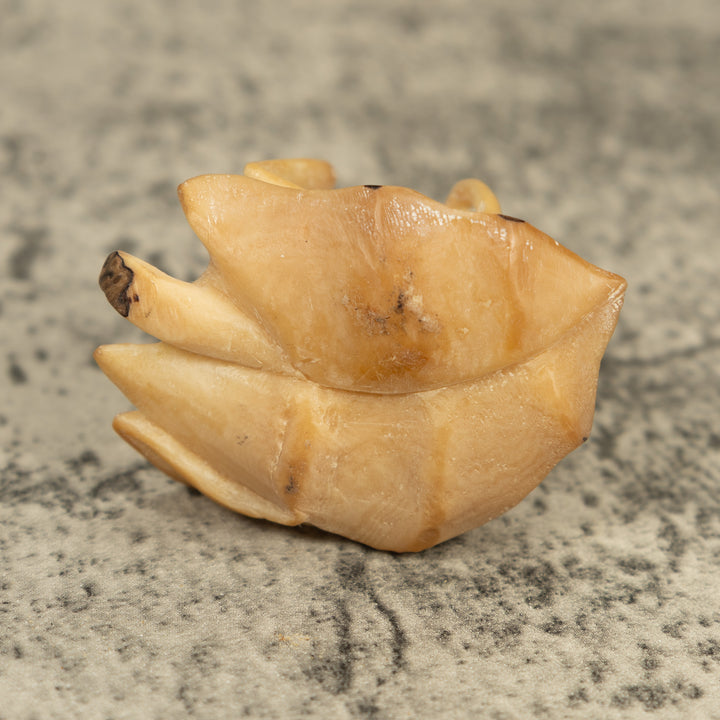 Natural White Frog On Leaf Tagua Carving