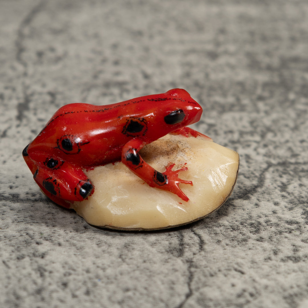 Black And Red Poison Dart Frog Tagua Carving