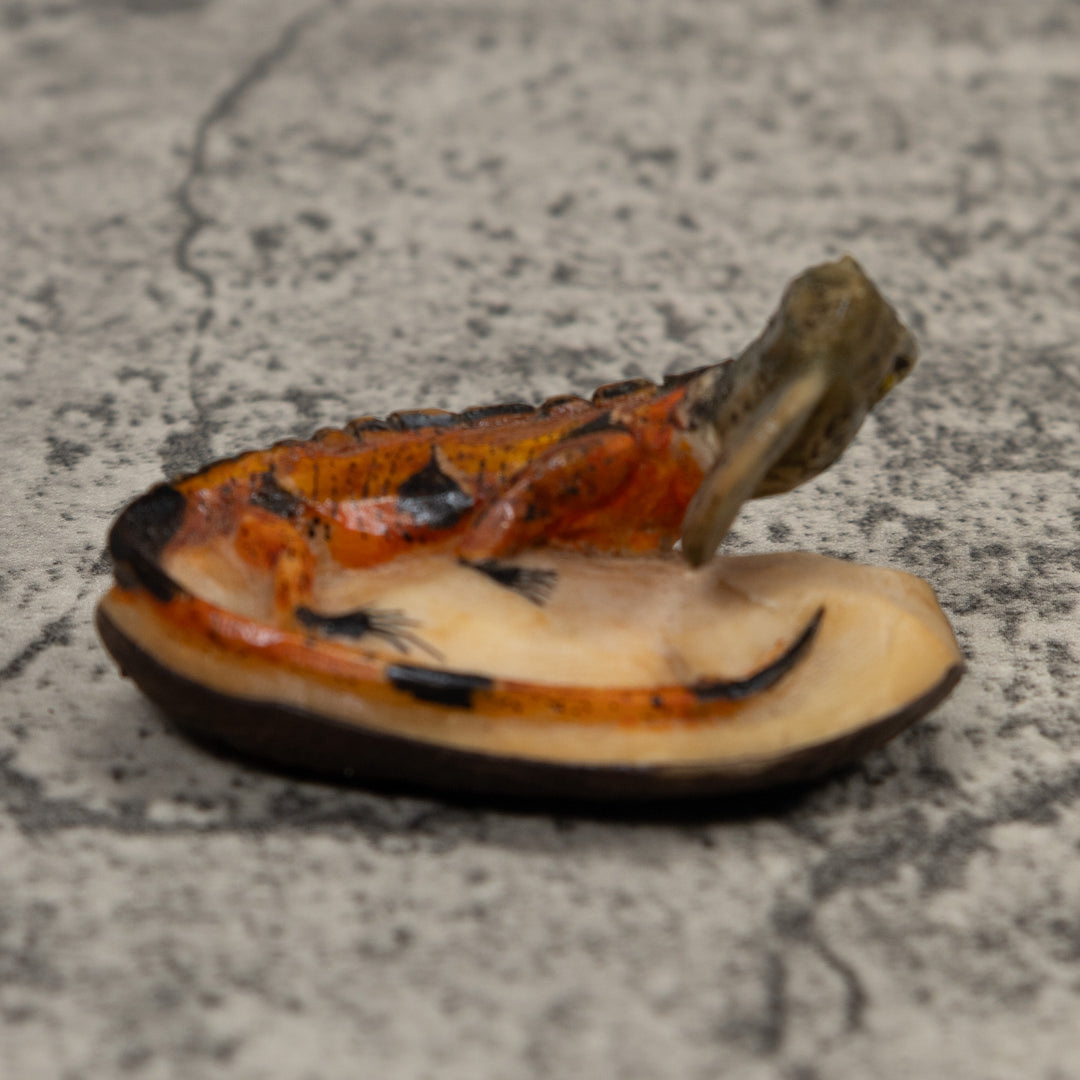 Iguana Lizard Reptile Tagua Carving