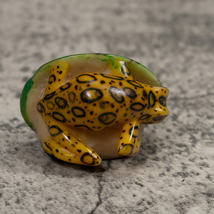 Vintage Black Yellow And Green Frog Tagua Carving