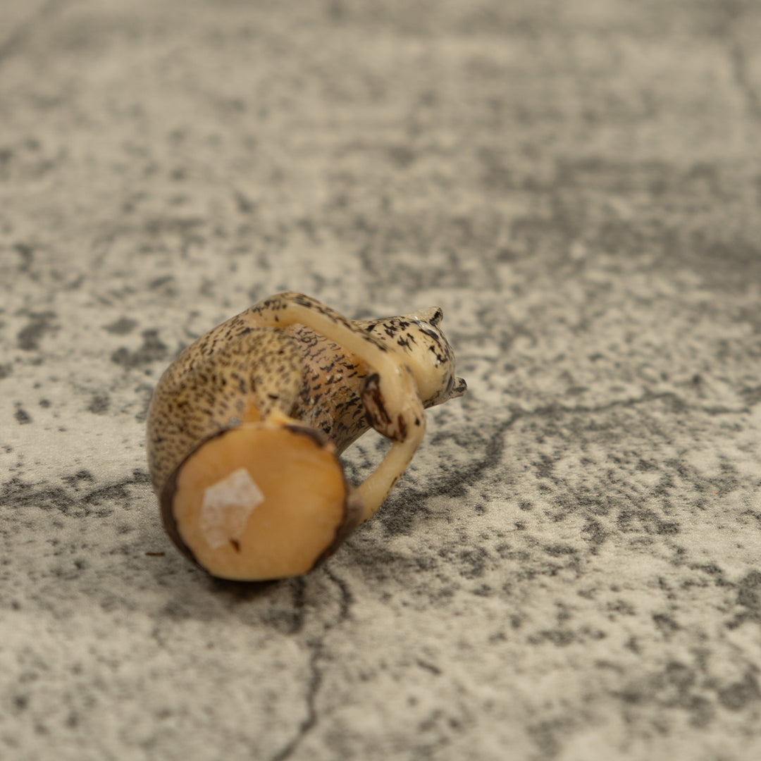 Vintage Jungle Critter Tagua Carving